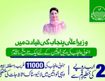 Asset Transfer to Rural Women