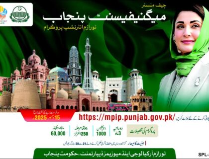 مگنیفیسنٹ پنجاب نوارزم انٹرن شپ پروگرام 2025